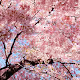 Test - LIXH7Bn0G2