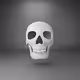 Skull 3D - old