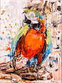Crypto_fly Collection