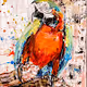 Crypto_fly Collection