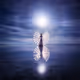 Night Reflection 7.10 by Eric Pare & Kim Henry - deprecated