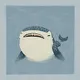 babysharkddudu