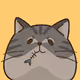 Non a Cat