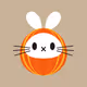 Daruma rabbit collection