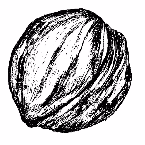 uraart art 10mints