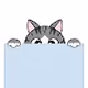 peek a boo cat - old