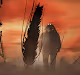 Terraforming