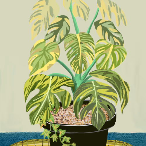 Flowerpot for you