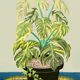 Flowerpot for you