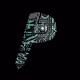PaymentLinks Access Key