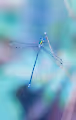 0x2770d1cdeec25cd6908cc7ffe0bedeb6db39aa7e