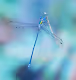 0x2770d1cdeec25cd6908cc7ffe0bedeb6db39aa7e