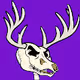 ANGRY ANTLERS STAG SOCIETY