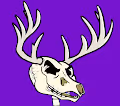ANGRY ANTLERS STAG SOCIETY