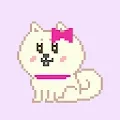 Popomey the Pomeranian