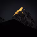 Himalayan Giants