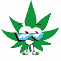 WeedPunks