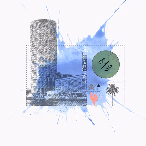 Tampa Vibes | Genesis Collection
