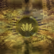 healing numbers to activate energy points - old