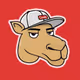 CustomCamels