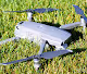 Drone in the world