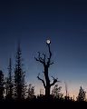 Earthshine