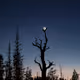 Earthshine