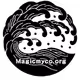 MagicMyco