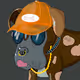 BoxDogs Kennel