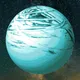 Worlds of Our Destiny