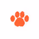Wild Paws Collection