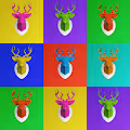 Deer on my wall