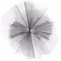 Crypto-Generative Art