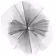 Crypto-Generative Art