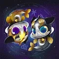 Yhin yhang Zodiac