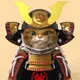 armored cat