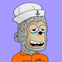 项目媒体占位符