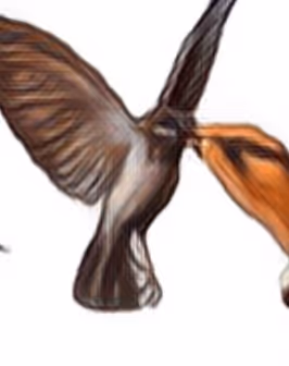 The birds: Dr Magritte & Mr Hitchcock