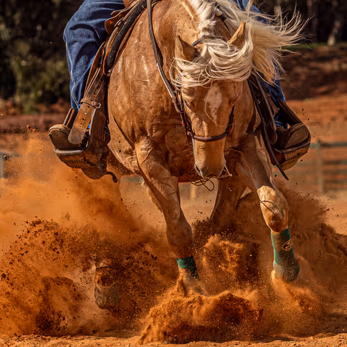 Horses and Ranch - old