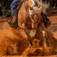 Horses and Ranch - old