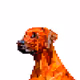 Pixelated Dog Collection