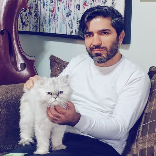 my cat
