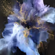 Galaxy blooming