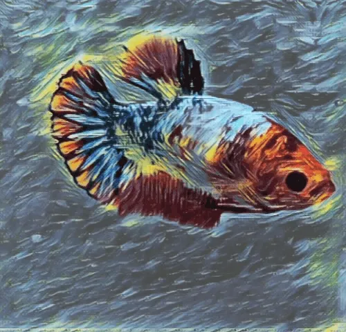 Bettafish_NFT