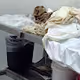 Anatomy Rares