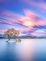 Kieran Stone - That Wanaka Cloud