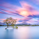 Kieran Stone - That Wanaka Cloud