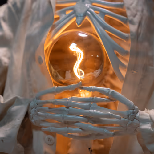 Cycles & Civilisations