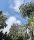 Monaco City