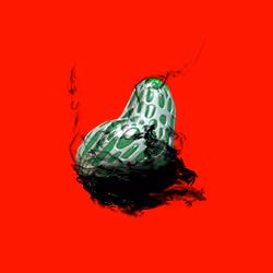 Item Media Placeholder